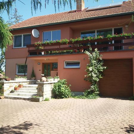 Apartman Na Skale Kostelec nad Orlicí Buitenkant foto
