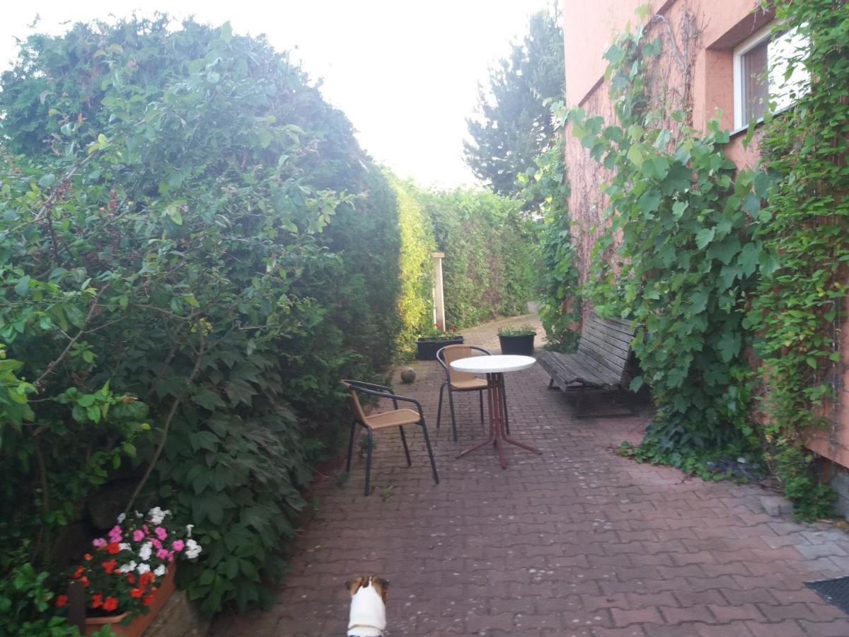Apartman Na Skale Kostelec nad Orlicí Buitenkant foto